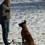 andreas Single Ü60 aus Kreuztal