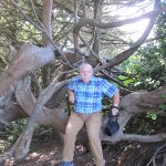 Robert Single Ü60 aus Düren